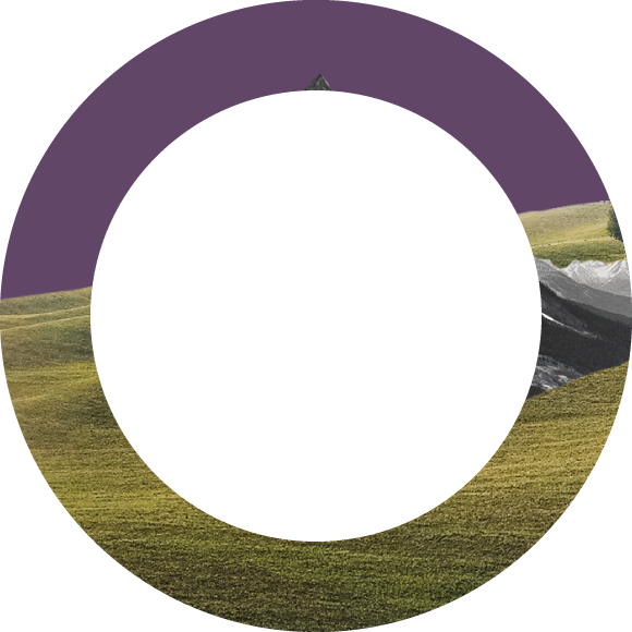 Circle graphic with purple and grass inlay